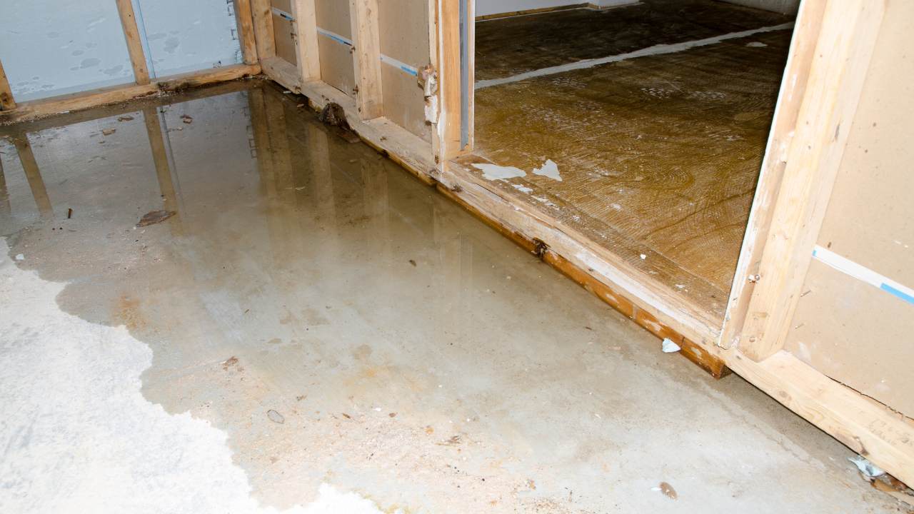 Water Damage Assessment And Inspection Near Me